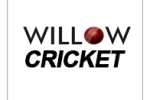 Willow cricket logo